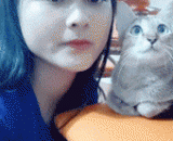 朕就是不想搭理愚蠢的人类 - I just don't want to take care of stupid human beings