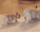 你倒是走呀，非得要我踢你才走啊 - You have to go. I have to kick you and go.