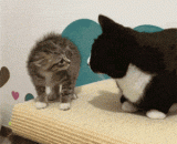 我去叫人，你你你，你别走啊 - I'll call someone, you you, you don't go.