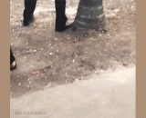 兄弟，蛋还在吗 - Brother, is the egg still