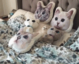 I can't see me... I can't see... I can't see me... Can't see me,看不见我……看不见我......看不见我……看不见我