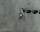 The new skill of fast wood cutting, the bunker!,快速砍柴的新技能，碉堡了！