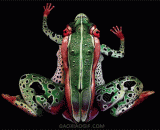 Human body painting of super realistic tropical frogs,超逼真的热带青蛙人体彩绘