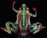 超逼真的热带青蛙人体彩绘 - Human body painting of super realistic tropical frogs