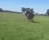 Hit Kay, you can't ride your horse.,揍凯了你，骑马技术这么渣不让你骑了！