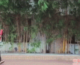 印度的心脏移植手术很有想象力 - Heart transplant surgery in India is very imaginative