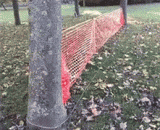 这是谁发明的遛狗方法，感觉这蠢狗要跑一整天 - Who invented the way of walking the dog? It feels like this stupid dog has to run all day.