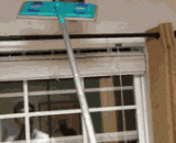 那小眼神似乎在说：劳资还没待够！ - The little eyes seemed to say, 