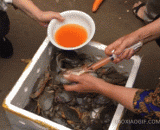 The aunt injected the crab with orange water slurry. What is this?,大妈给螃蟹注射橙色水浆，这这这...是啥情况？