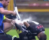 Come, give you the cooling of the chrysanthemum, and enjoy it.,来，给你菊花降降温，好享受啊！