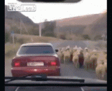 一张图告诉你什么叫顺手牵羊 - A picture tells you what is called a hand in hand