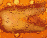 A year's change in a tooth bubble in a coke,牙齿泡在可乐里一年的变化