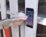 肾被钉在木板上了，真疼！ - The kidney is nailed on the board. It hurts!