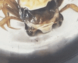 别人卸妆 我卸壳 - Other people remove makeup and I unload the shell