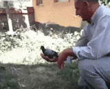 Let's go, you're free... ​ ​ ​ ​,走吧，你自由了……​​​​