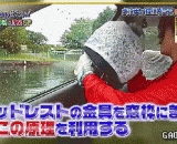 人同车掉水里如何利用汽车座椅头枕逃生？ - How to use the headrest of car seat to escape in the same way?