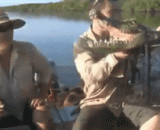 哎呀我的妈呀！钓到了一条鳄鱼！ - Oh, my mommy! A crocodile was caught!