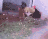 Volley, good ball,凌空飞射，好球