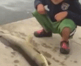 鱼儿！睡你麻痹，快给我起来嗨 “嗨就嗨！ - Fish! Sleep you paralyzed, get up quickly, 