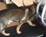 To be a sports friend and to make a perfunctory you,认真做运动的朋友和来敷衍一下的你