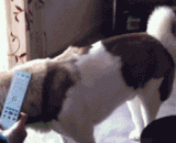 汪：放开我，你丫别拦我，我要去救人！ - Wang: let me go. Don't stop me. I'm going to save somebody!