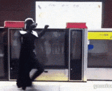 May the force be with you...,愿力与你同在......周围群众：玛的智障吧