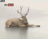 Oh shit, how can it not come up,oh shit，怎么起不来