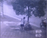 Sawing a tree to steal a car! It seems that it is not safe to lock a bicycle on a tree,锯树偷车！看来把自行车锁在树上不太安全