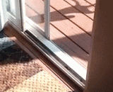 狗狗不小心摔伤了前腿儿，主人包扎了伤口让它静养...可万万没想到 - The dog accidentally hurt his foreleg, and the master bandaged the wound to make it rest.