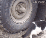 躲得这么隐蔽，害联找了半天[2P] - Hid so concealed, the harm Union had been looking for [2P] for half a day