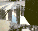 萌萌哒禁烟广告 你看懂了吗？ - Did you understand the sprout ban on smoking?