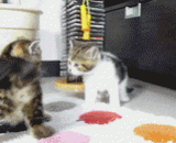 让你三招 - Let you do the three trick