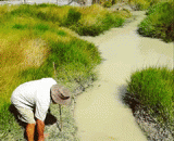 大爷捕捉鳄鱼的方式，被惊到了！ - The way the man caught the crocodile was surprised!