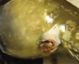 A surprise in the belly of a fish,鱼肚子里的惊喜