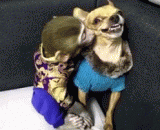 想和生气女友亲热时的你 - You want to be angry with your girlfriend