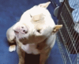 数学课上的我.....一脸的懵逼相 - I was in a math class.