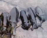 疼得我颜色都掉了 - It hurts all my color.