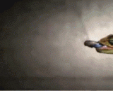 Chameleon prey moment under slow lens,慢镜头下变色龙捕食瞬间