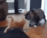 最后一击造成了10000点真实伤害 - The last blow caused 10000 real damage