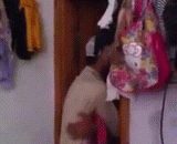 在家里亲热被偷拍，这结局没猜到 - He was photographed at home, and the result was not guessed.