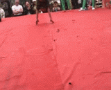 The speed is too fast, and the pants can't keep up,速度太快，裤子都跟不上了