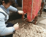 家里养一窝老鼠，等到过冬，你就知道家里有多少储备粮了 - Keep a nest of mice at home, and wait till winter, and you will know how much grain you have in your family.