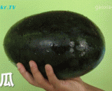 切水果新技能，超好学！上手快！高大上！get√起来[6P] - New fruit skills, super learning! Fast hand! Tall! Get gets up [6P]