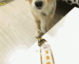 退回赃物，从轻处罚 - Return the stolen goods and take a light penalty