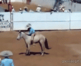 和你说过多少遍了，不要乱摸我发型 - How many times have you told me, don't touch my hair