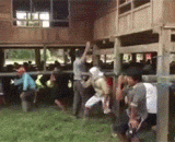 这才叫搬家 - It's called a move.