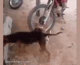 On the importance of Technology,论技术的重要性