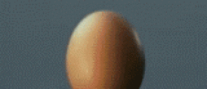 子弹穿过鸡蛋的瞬间 - The moment the bullet passes through the egg