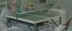 无聊时可以自己玩乒兵球 - When you are bored, you can play the ball of the table tennis