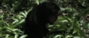 吓死人的猩猩 - A terrifying Orangutan